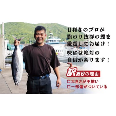 お試し用 訳あり かつおのたたき 400g サイズ 不揃い 規格外 試供品 お試し品