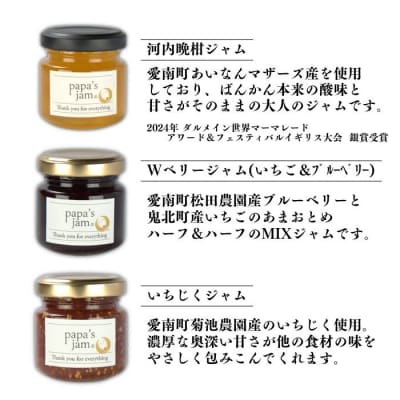 【イギリス世界大会受賞】ジャムとマーマレード 旬のジャム 3種セット Papa's jam