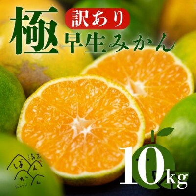 訳あり 極早生 みかん 10kg 愛媛みかん 愛媛県 愛南町 清家ばんかんビレッジ