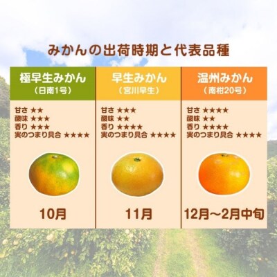 訳あり 極早生 みかん 10kg 愛媛みかん 愛媛県 愛南町 清家ばんかんビレッジ