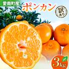 先行受付 訳あり ポンカン 3kg ぽんかん みかん 蜜柑 柑橘 清家ばんかんビレッジ