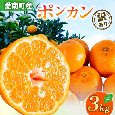 先行受付 訳あり ポンカン 3kg ぽんかん みかん 蜜柑 柑橘 清家ばんかんビレッジ
