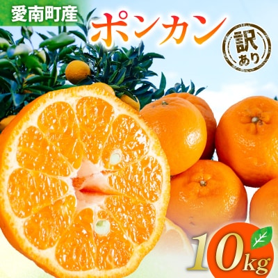 先行受付 訳あり ポンカン 10kg ぽんかん みかん 蜜柑 柑橘 清家ばんかんビレッジ
