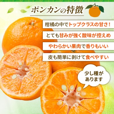 先行受付 訳あり ポンカン 10kg ぽんかん みかん 蜜柑 柑橘 清家ばんかんビレッジ