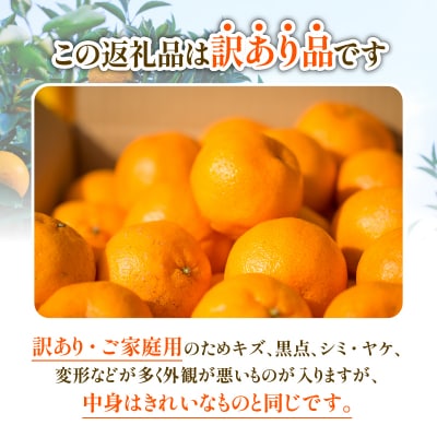 先行受付 訳あり ポンカン 10kg ぽんかん みかん 蜜柑 柑橘 清家ばんかんビレッジ