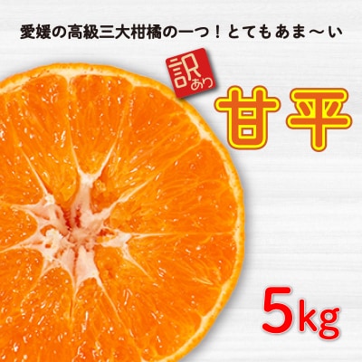 訳あり 甘平5kg みかん 蜜柑 中山農園 発送: 2025年2月1日～