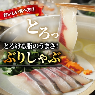 ぶりスライス 冷凍 合計 500g ( 250g × 2皿 ) 超冷燻 鰤 しゃぶしゃぶ 鍋 刺身
