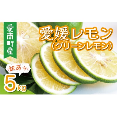 訳あり 愛媛 レモン ( グリーンレモン ) 5kg 7000円 柑橘 サイズ 不揃い 果樹園みどり