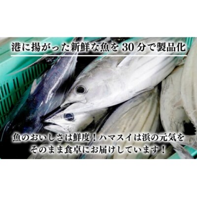 特選 かつおの塩たたき 5節セット タレ藻塩付き かつおのたたき 鰹タタキ ハマスイ 愛南町 愛媛県
