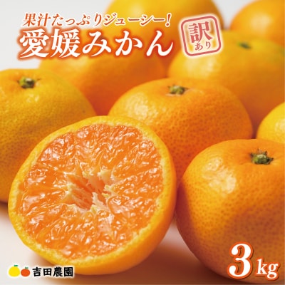 先行受付 訳あり 愛媛みかん 3kg 温州 みかん mikan 蜜柑 ミカン 愛南町 吉田農園