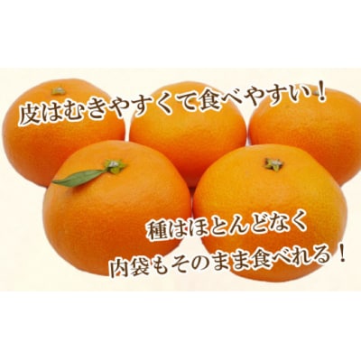 先行受付 訳あり 愛媛みかん 3kg 温州 みかん mikan 蜜柑 ミカン 愛南町 吉田農園