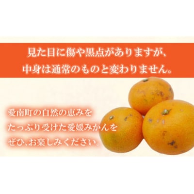 先行受付 訳あり 愛媛みかん 3kg 温州 みかん mikan 蜜柑 ミカン 愛南町 吉田農園