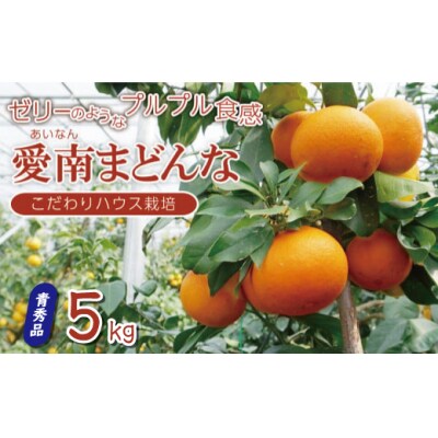 先行受付  訳あり 愛南 まどんな 5kg 【 青秀品 】 みかん 果樹園みどり 愛南町 愛媛県
