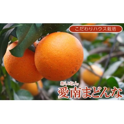 先行受付  訳あり 愛南 まどんな 5kg 【 青秀品 】 みかん 果樹園みどり 愛南町 愛媛県