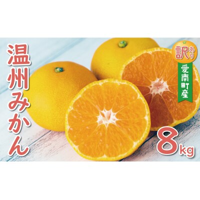 先行受付 訳あり 温州みかん 8kg 10000円 愛媛 みかん ミッチーのおみかん畑