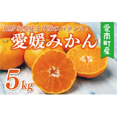 訳あり 愛媛みかん 5kg 愛媛 みかん 温州みかん ミカン 愛南町 愛媛県 マルハラファーム