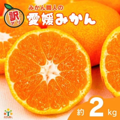 期間限定 訳あり 愛媛みかん 2kg 発送9月中旬から1月中旬 みかん職人武田屋