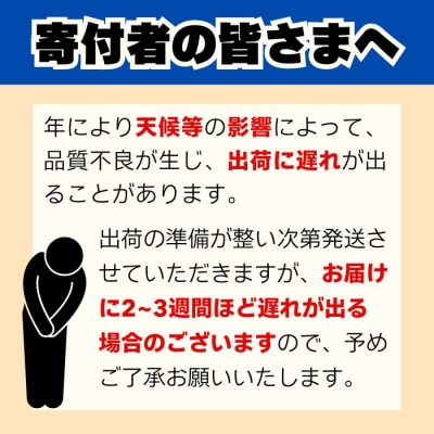 期間限定 訳あり 愛媛みかん 2kg 発送9月中旬から1月中旬 みかん職人武田屋