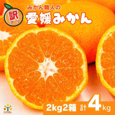 期間限定 訳あり 愛媛みかん 2kg 2箱 蜜柑 ミカン みかん職人武田屋 愛南町