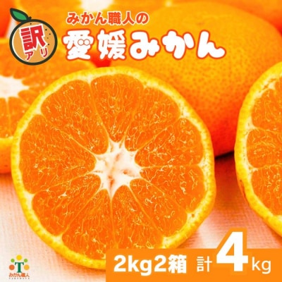 期間限定 訳あり 愛媛みかん 2kg 2箱 蜜柑 ミカン みかん職人武田屋 愛南町