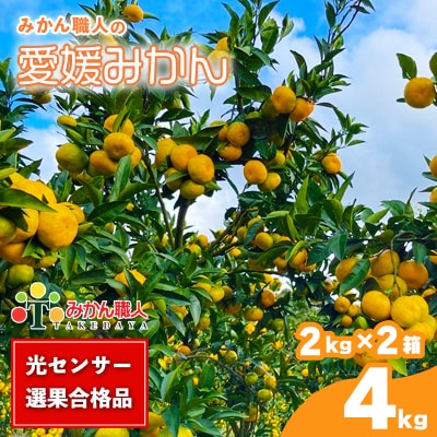 期間限定 訳あり 愛媛みかん 2kg 2箱 蜜柑 ミカン みかん職人武田屋 愛南町