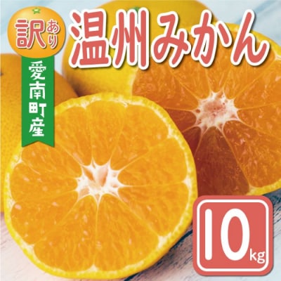 先行受付 訳あり 温州みかん 10kg 12000円 愛媛 みかん ミッチーのおみかん畑