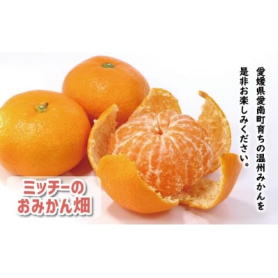 先行受付 訳あり 温州みかん 10kg 12000円 愛媛 みかん ミッチーのおみかん畑