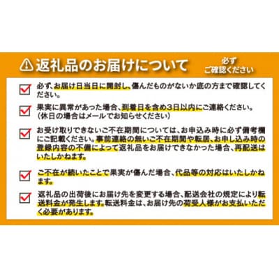 先行受付 訳あり 温州みかん 10kg 12000円 愛媛 みかん ミッチーのおみかん畑