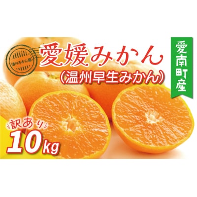 先行受付 訳あり 愛媛みかん ( 温州 早生 みかん ) 10kg 12000円 渚のみかん園