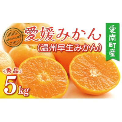 先行受付 愛媛みかん 秀品 ( 温州 早生 みかん ) 5kg 10000円 渚のみかん園