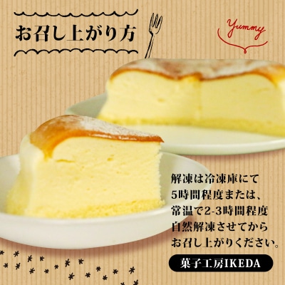 チーズケーキ 5号サイズ 専門店  愛南町 菓子工房IKEDA
