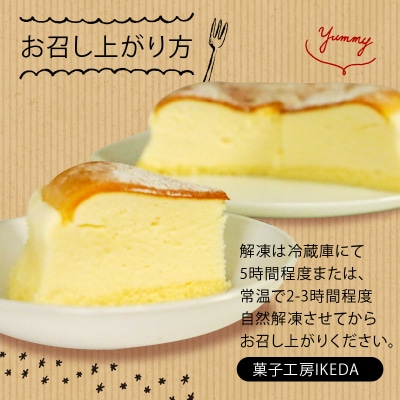 チーズケーキ 5号サイズ 専門店  愛南町 菓子工房IKEDA
