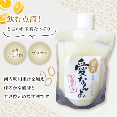 愛南ゴールド 入り 甘酒 (170ml×5本) 7000円 あま酒 パウチ 愛南町青果市場