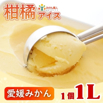 みかん職人が作った柑橘 アイス 愛媛みかん 1000ml×1 シャーベット みかん職人武田屋