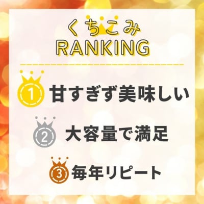 みかん職人が作った柑橘 アイス 愛媛みかん 1000ml×1 シャーベット みかん職人武田屋