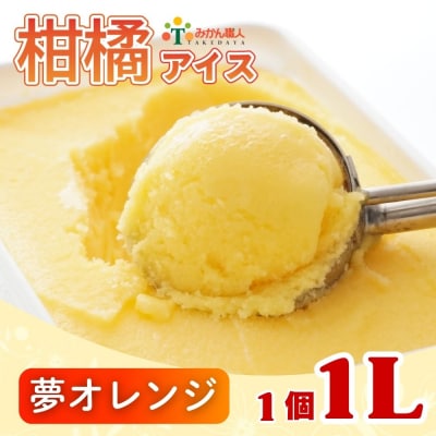 みかん職人が作った柑橘 アイス 夢オレンジ 1000ml×1 シャーベット みかん職人武田屋