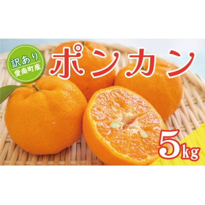 先行予約 訳あり ポンカン 5kg ぽんかん みかん ミカン くらもとファーム 愛南町 愛媛県