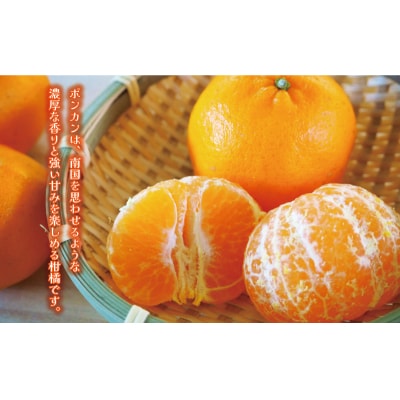 先行予約 訳あり ポンカン 5kg ぽんかん みかん ミカン くらもとファーム 愛南町 愛媛県