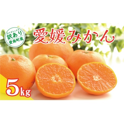 先行受付 訳あり 愛媛みかん 5kg 温州 みかん ミカン 柑橘 くらもとファーム 愛南町 愛媛県