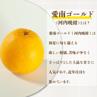愛南ゴールド 入り 甘酒 (170ml×2本) 5000円 あま酒 パウチ 愛南町青果市場