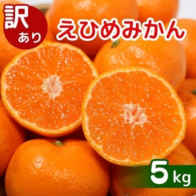 訳あり 愛媛みかん 5kg 発送時期 11月以降 みかん 柑橘 清家ばんかんビレッジ