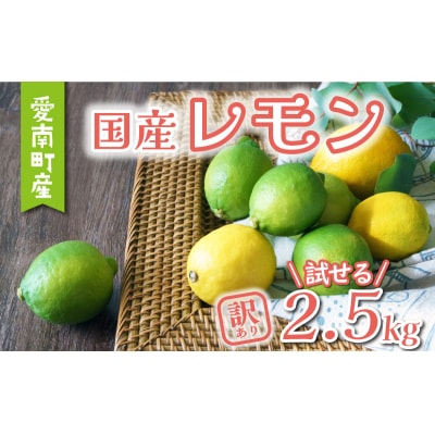 訳あり レモン 2.5kg 柑橘 家庭用 檸檬 国産 れもん あいなんマザーズ 愛南町 愛媛県