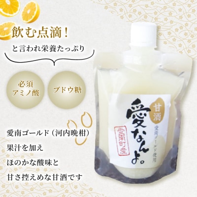 愛南ゴールド 入り 甘酒 (170ml×8本) 10000円 あま酒 パウチ 愛南町青果市場