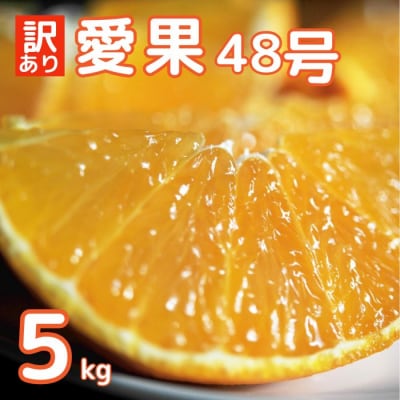  訳あり 愛果48号 ( みかん ) 5kg 高級 柑橘 果物 サイズミックス 中山農園  愛媛県