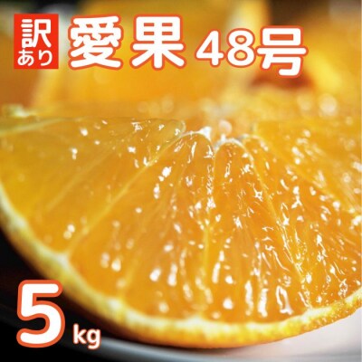 【先行予約】訳あり 愛果48号 プリンセス 5kg 愛媛県 愛南町 中山農園 