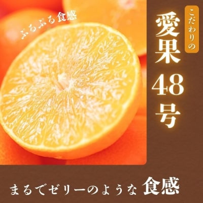  訳あり 愛果48号 ( みかん ) 5kg 高級 柑橘 果物 サイズミックス 中山農園  愛媛県