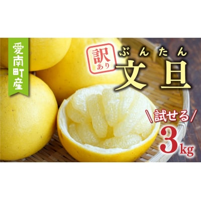 先行受付 訳あり 文旦 3kg ぶんたん みかん 蜜柑 ミカン あいなんマザーズ 愛南町 愛媛県