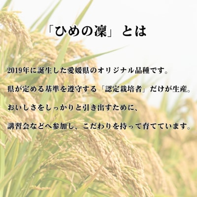 新米 令和6年度産 『ひめの凜』5kg 9000円 お米 宮下明良 発送時期:11月4日～