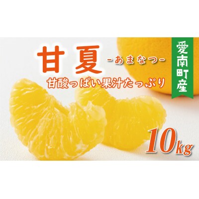 先行受付 贈答用 甘夏 10kg 樹齢25年以上 あまなつ みかん くらもとファーム 愛南町 愛媛県