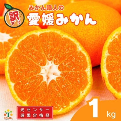 訳あり 愛媛みかん 1kg 【発送期間:9月中旬～1月中旬】みかん職人武田屋